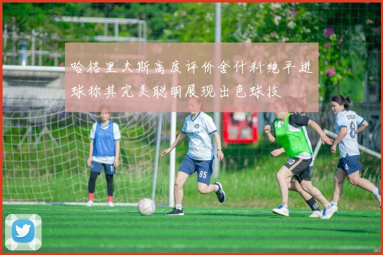 哈格里夫斯高度评价舍什科绝平进球称其完美聪明展现出色球技