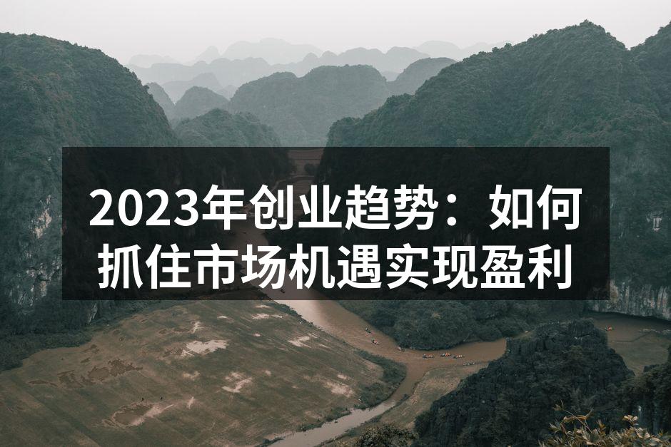 2023年创业趋势：如何抓住市场机遇实现盈利