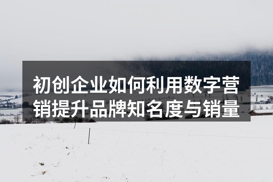 初创企业如何利用数字营销提升品牌知名度与销量